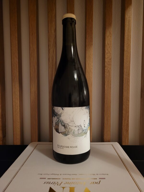 les horées bourgogne vin rouge pin pinot noir