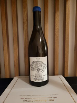 jerome bretaudeau vin blanc de loire, Muscadet, Gaia