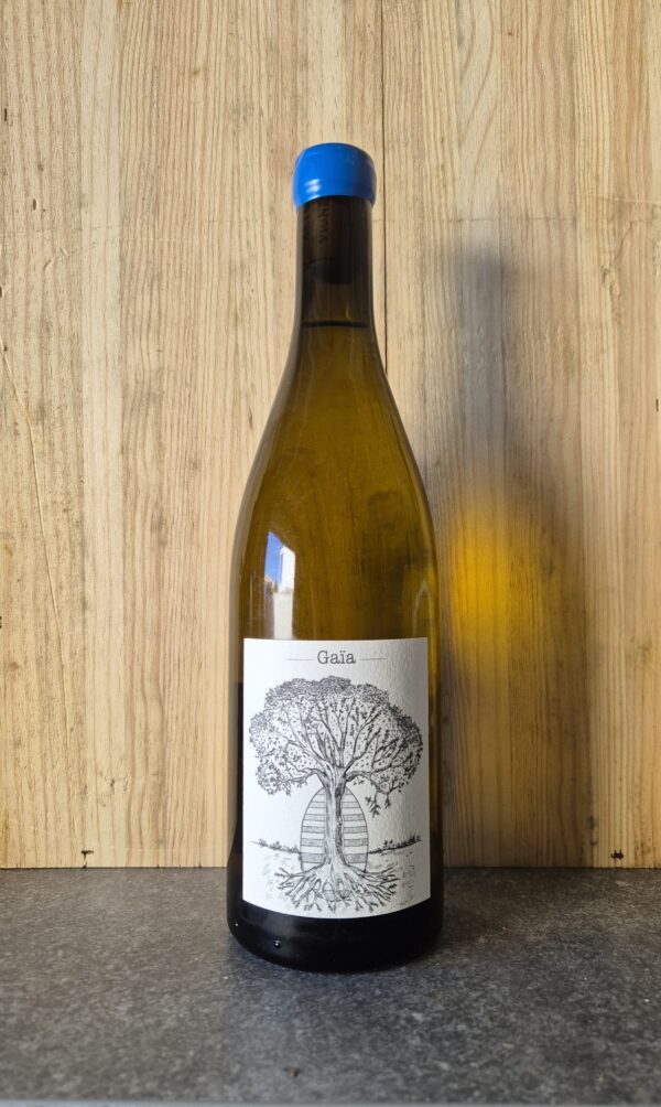 Jerome Bretaudeau muscadet gaia grand vin vin blanc loire