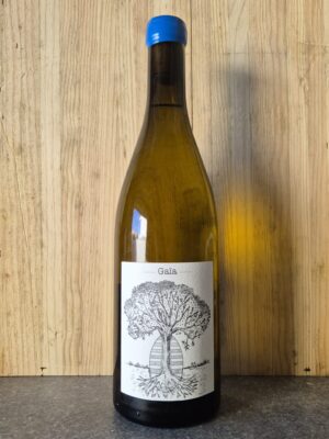 Jerome Bretaudeau muscadet gaia grand vin vin blanc loire